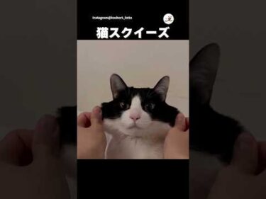 結構伸びる｜PECO