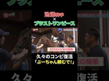 池添騎手、ブラストワンピースに再騎乗!? 今日はゆっくりお散歩 #競馬 #horse
