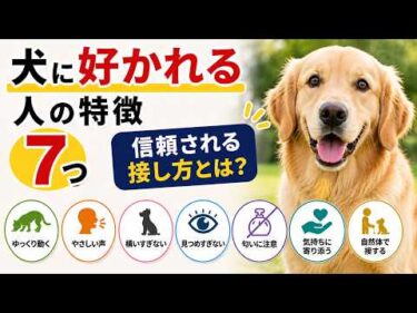 犬に好かれる人の特徴7選！初対面でも信頼される接し方をドッグトレーナーが解説【見やすく改良】