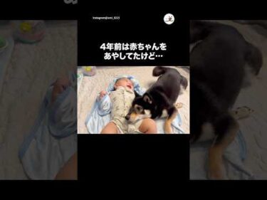 4年前は赤ちゃんあやしてたけど、現在は…｜PECO