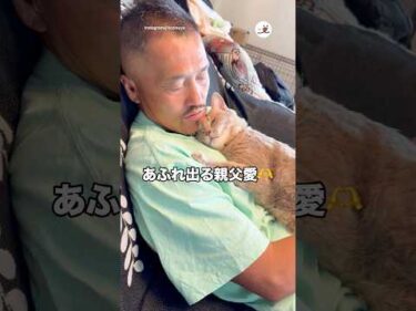 オヤジが撫でると…｜PECO